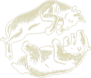 The Coffee Trade - Menu