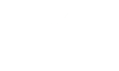 Hugo Farias Fotografia - Menu