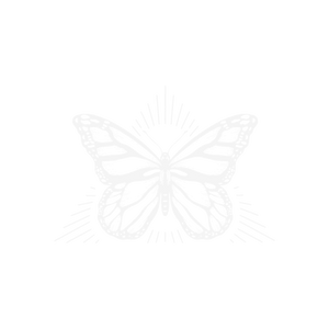 Primeira cena fotografia - Menu