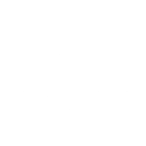 Michele Santos Fotografia - Menu