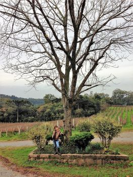 Vinícolas com crianças na Serra Gaúcha: Trem Maria Fumaça /vinicolas-com-criancas-na-serra-gaucha-trem-maria-fumaca