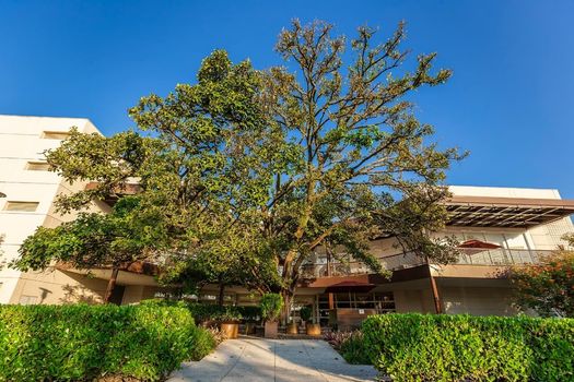 Iguatemi Rio Preto - happy hour com música ao vivo /iguatemi-rio-preto-happy-hour-com-musica-ao-vivo