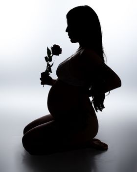 Ensaio gestante /ensaio-gestante4