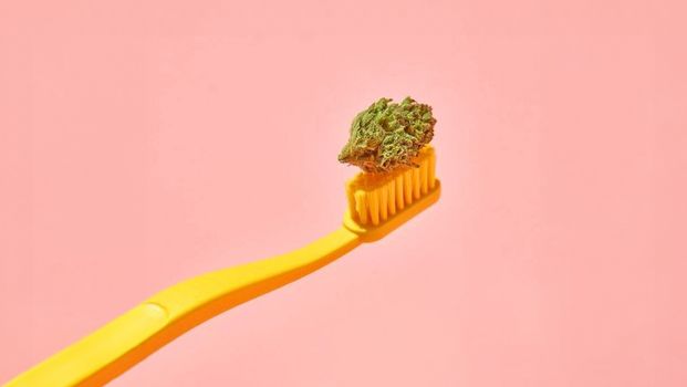 Tratamento com cannabis: uso terapêutico e benefícios para saúde /tratamento-com-cannabis-uso-terapeutico-e-beneficios-para-saude