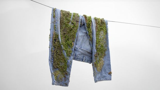 Roupa de cânhamo: tudo sobre a fibra têxtil a base de maconha /roupa-de-canhamo-tudo-sobre-a-fibra-textil-a-base-de-maconha