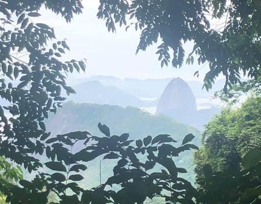 My trip to Rio - November 2019 /my-trip-to-rio-november-2019