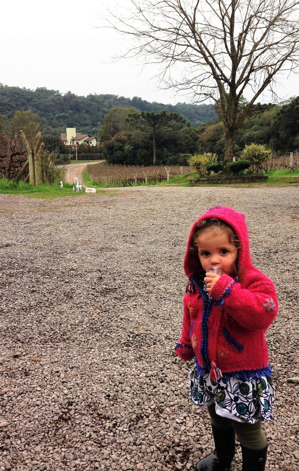 Vinícolas com crianças na Serra Gaúcha: Trem Maria Fumaça - 31