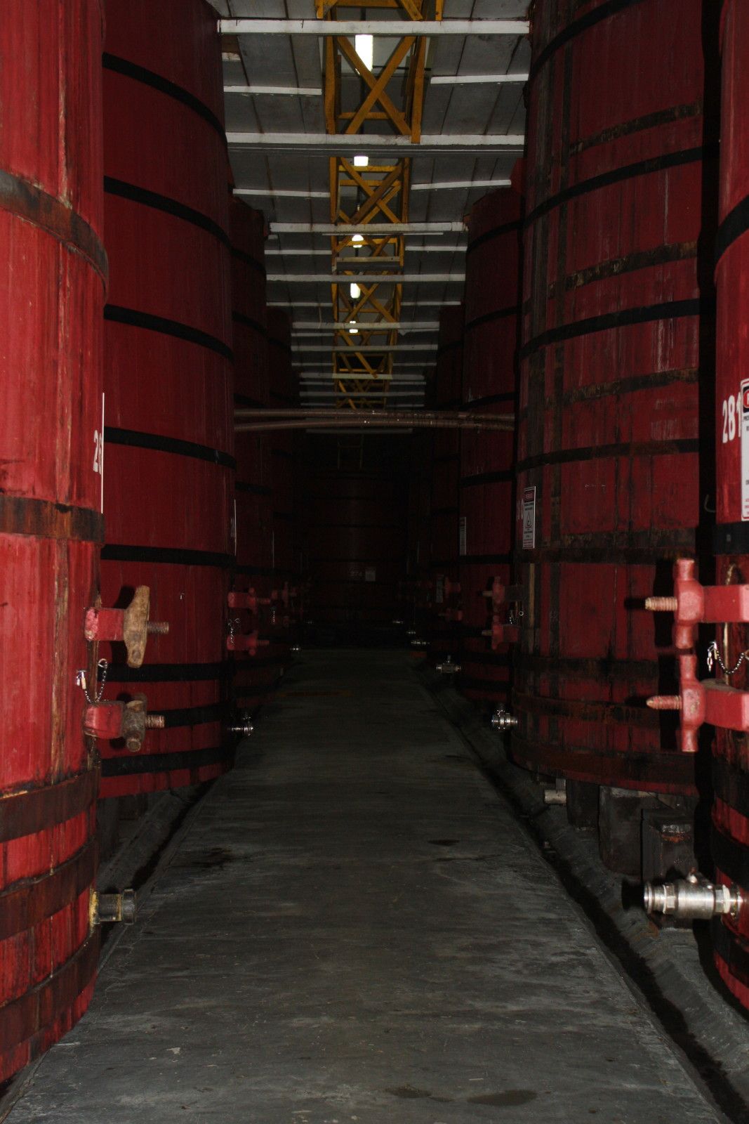 Vinícolas com crianças na Serra Gaúcha: Trem Maria Fumaça - 24