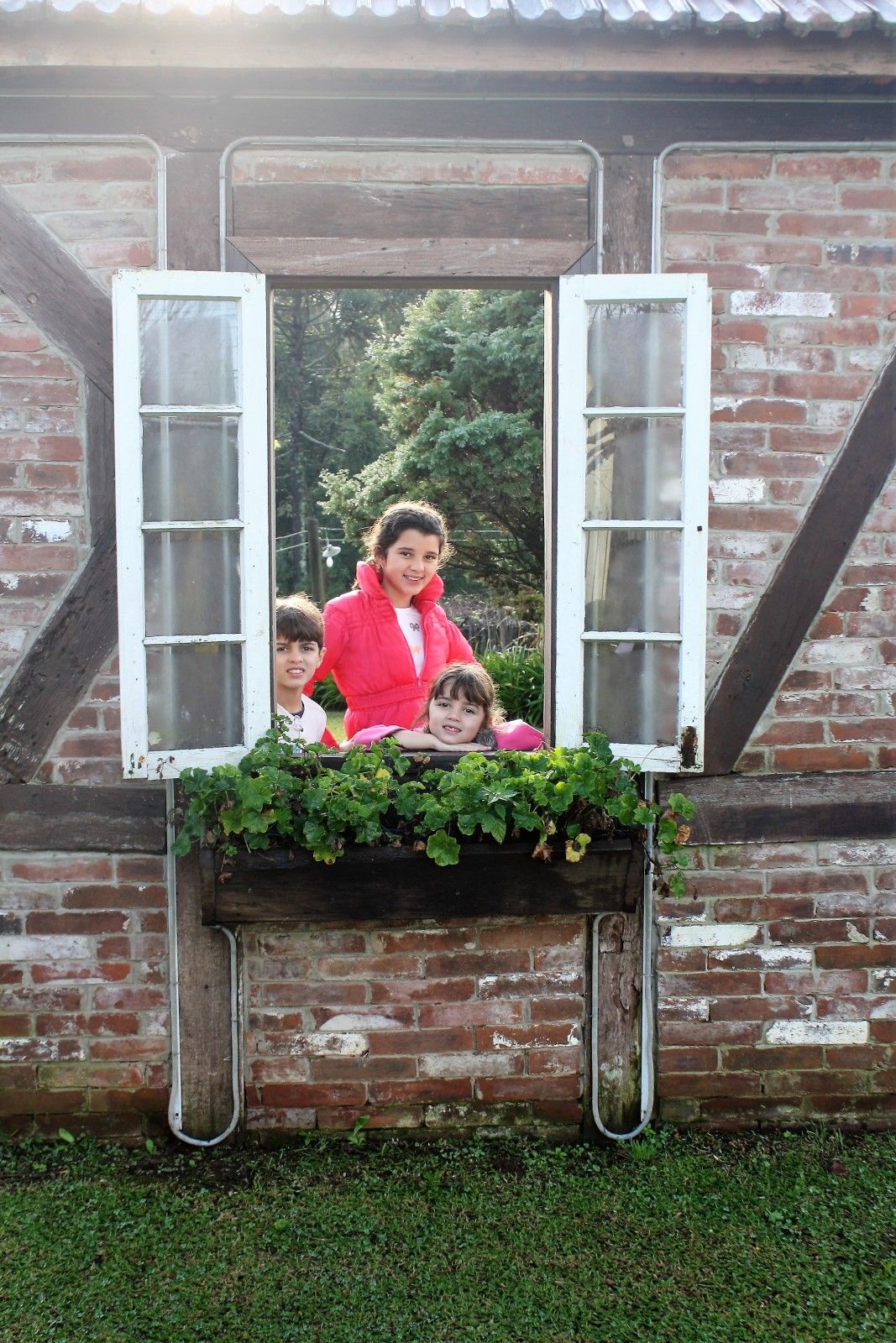 Vinícolas com crianças na Serra Gaúcha: Trem Maria Fumaça - 14