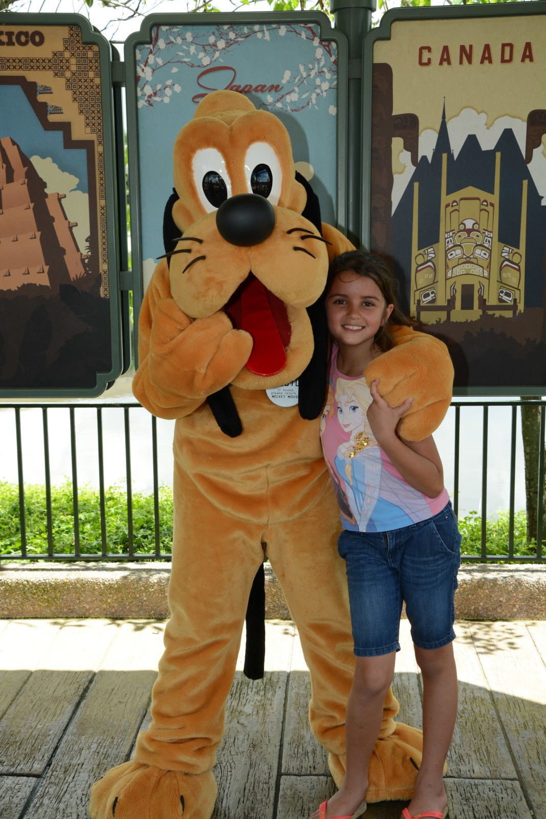 13 cachorros famosos da Disney - 6