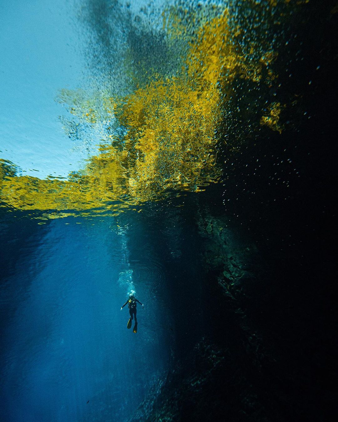 Mergulho na Lagoa Misteriosa em Bonito - MS - 3