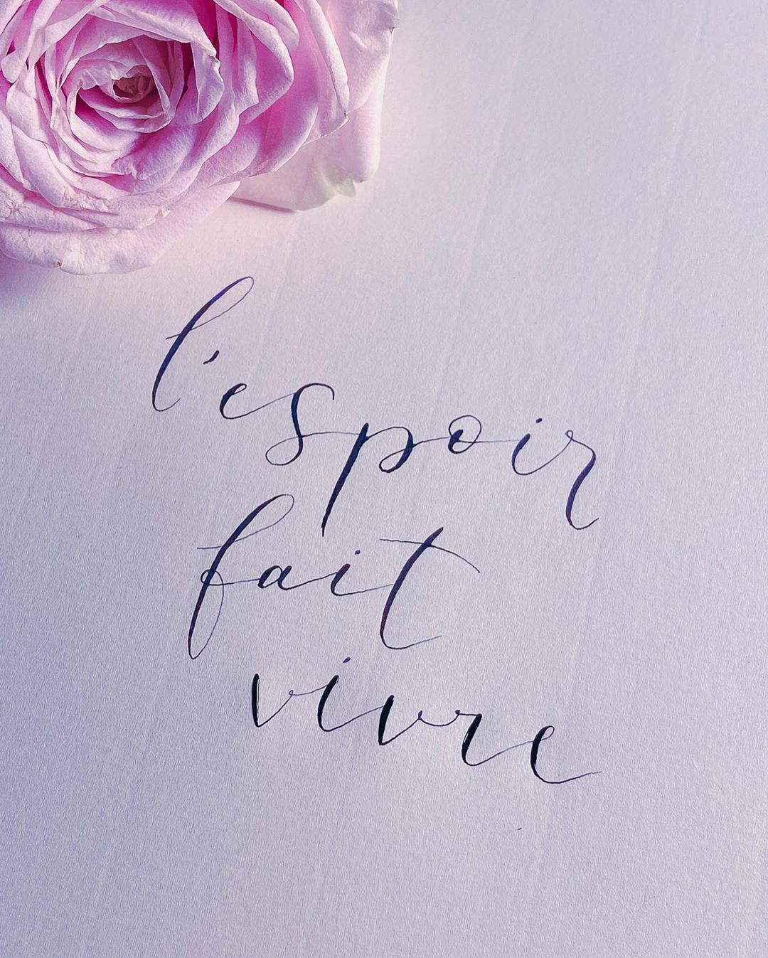 Caligrafia com bico de pena - 2