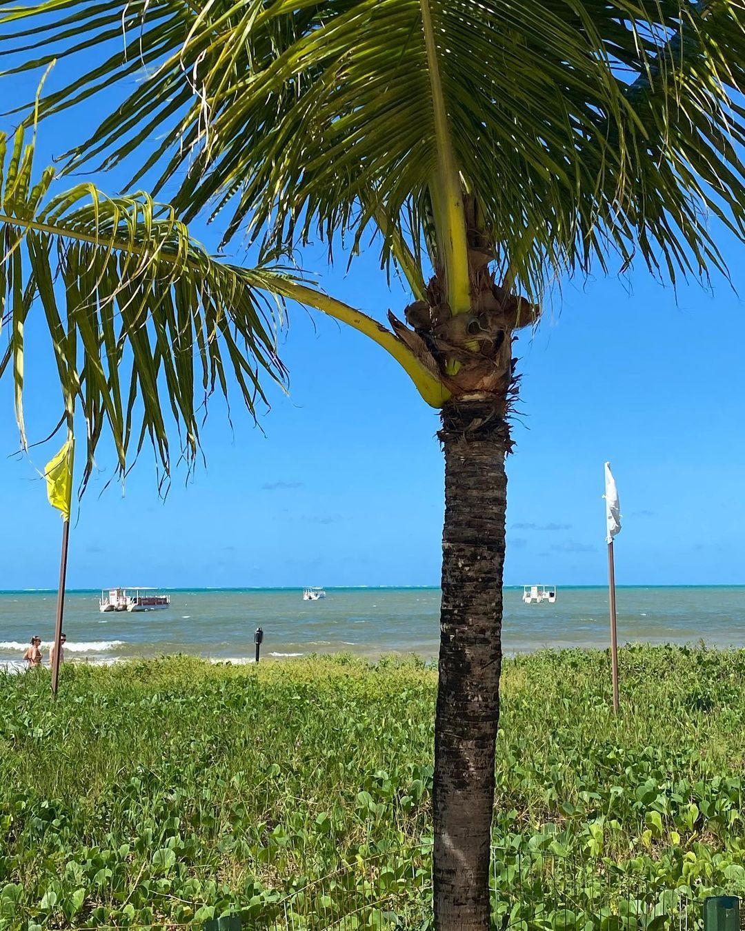 Salinas de Maragoggi - Alagoas, Brasil - 16