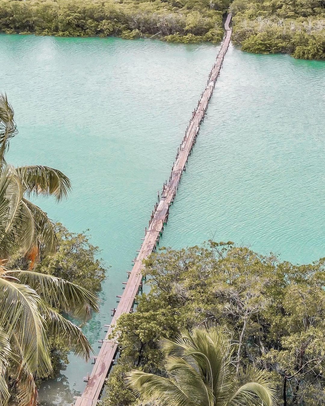 Famosa Ponte sobre o Rio Tatamunha - Porto de Pedras (pertinho de Milagres) - 2