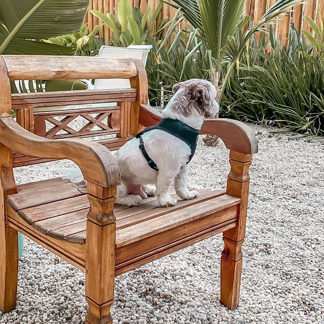 Reserva Ilhabela, ótima opção de hospedagem na ilha - 6