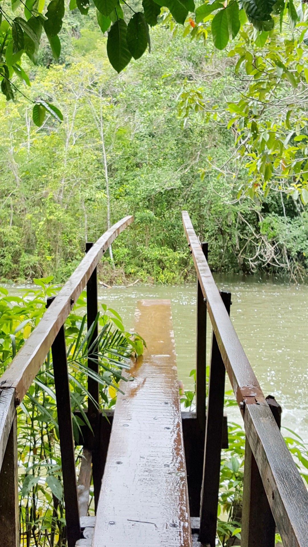 Bonito com crianças: o que você precisa saber! - 39