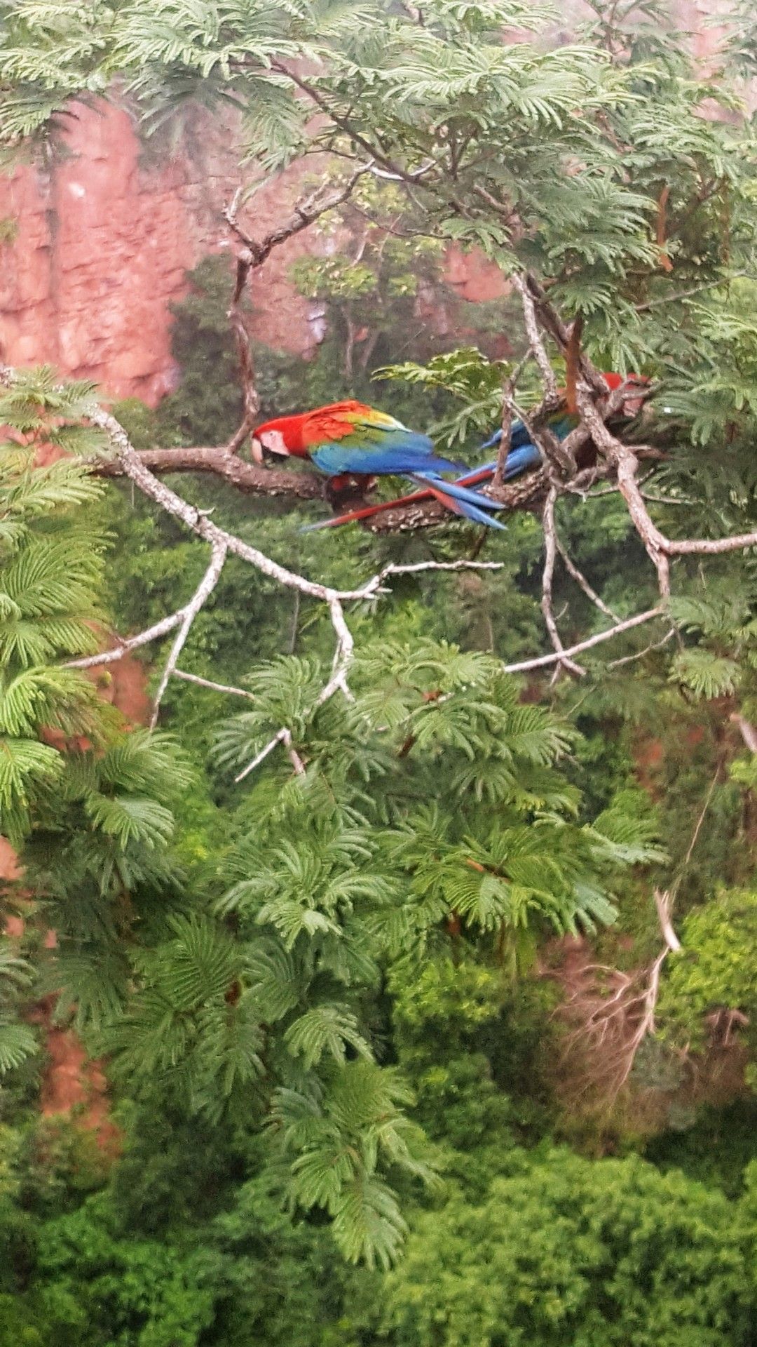 Bonito com crianças: o que você precisa saber! - 57