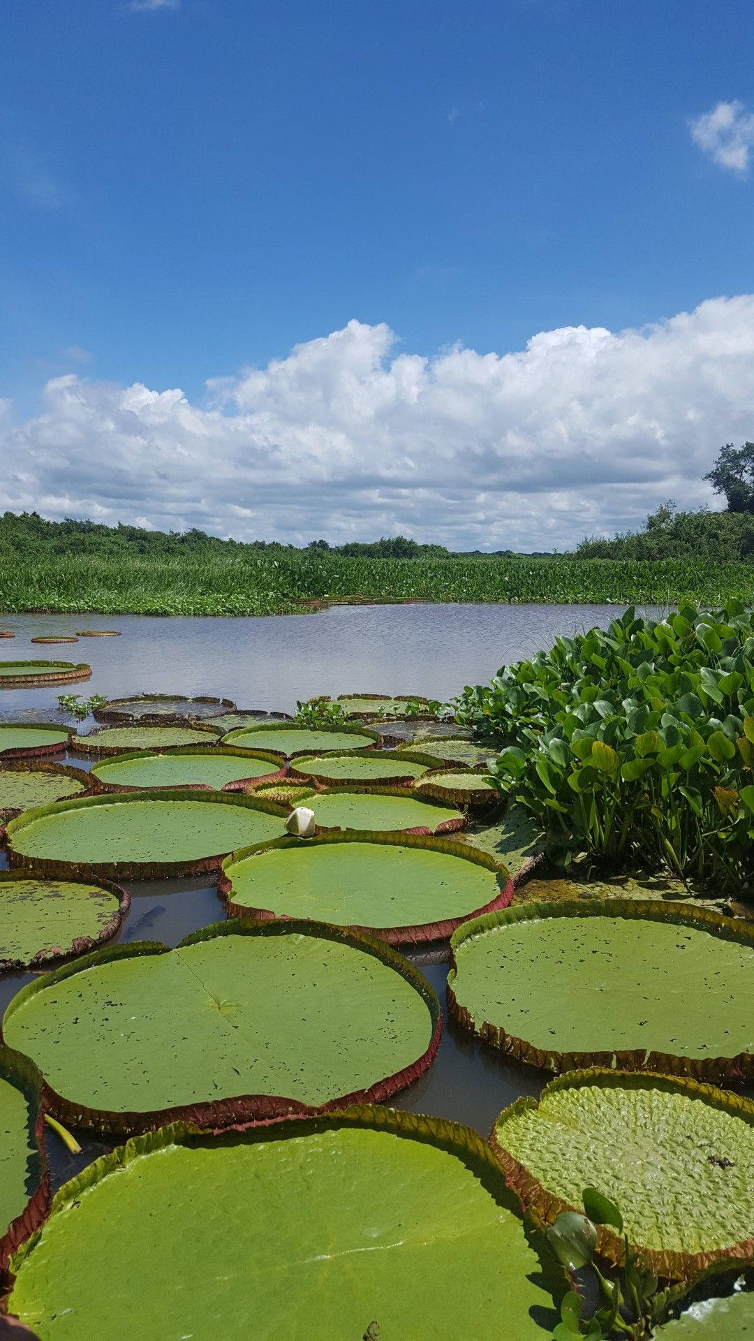 Uma fantástica road trip pelo Mato Grosso do Sul! Indo até Assunção no Paraguai. - 15
