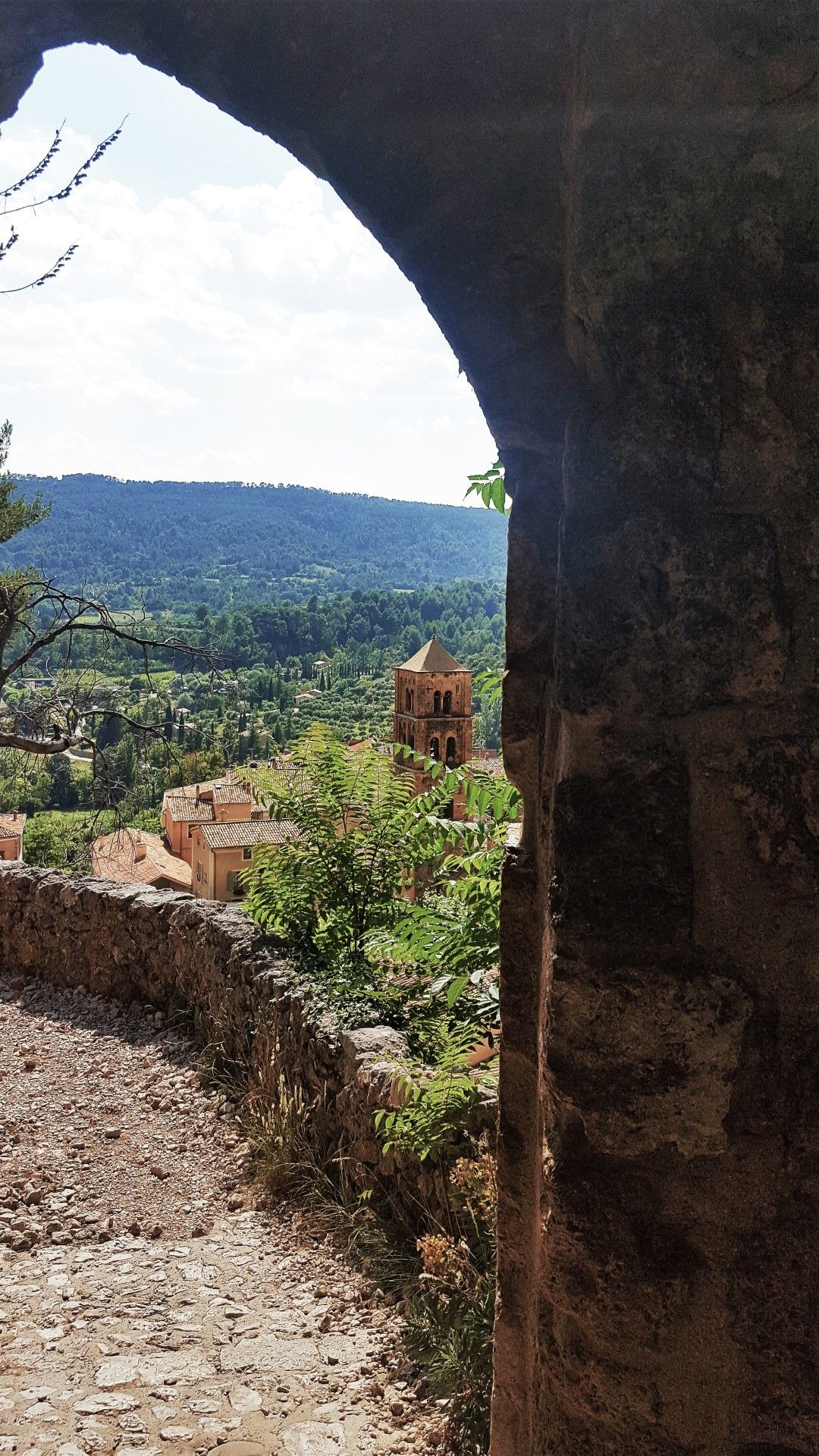Provence: como visitar os campos de lavanda  com crianças - 3