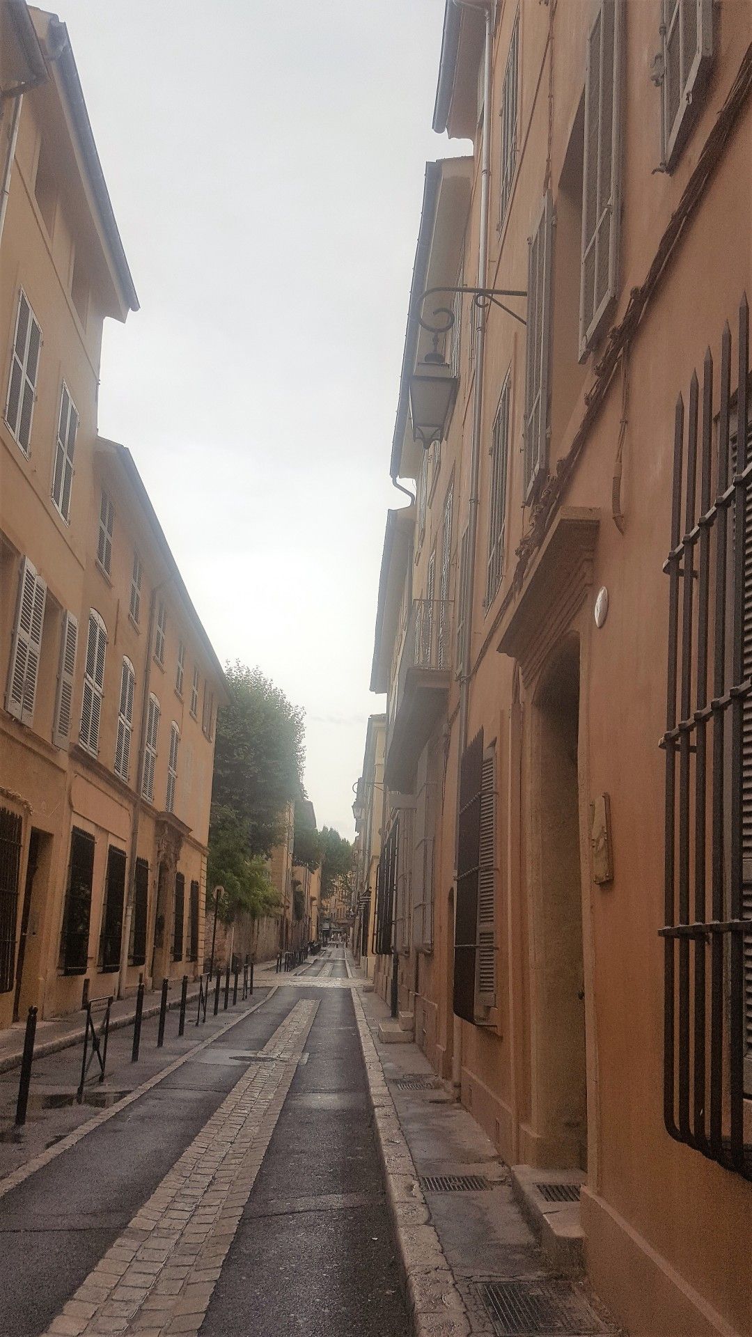 Provence: como visitar os campos de lavanda  com crianças - 16