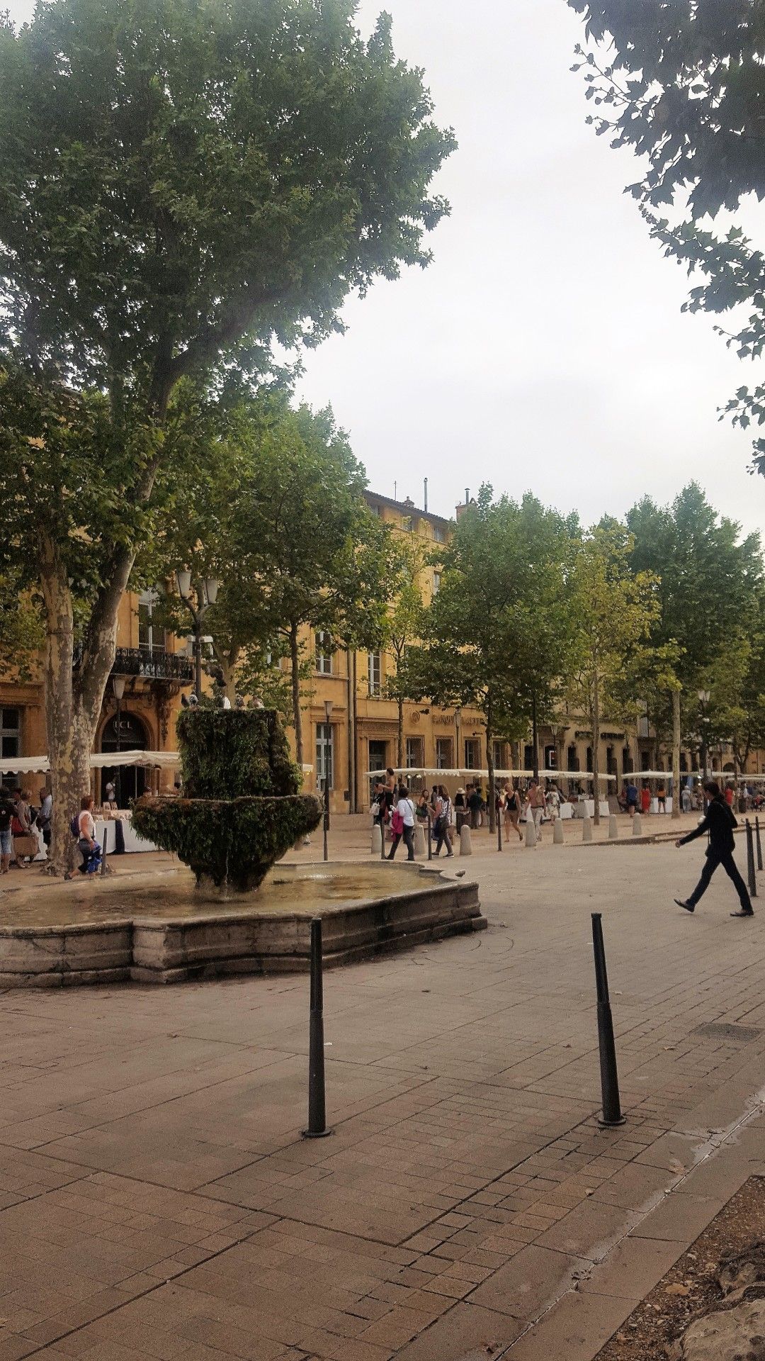 Provence: como visitar os campos de lavanda  com crianças - 38