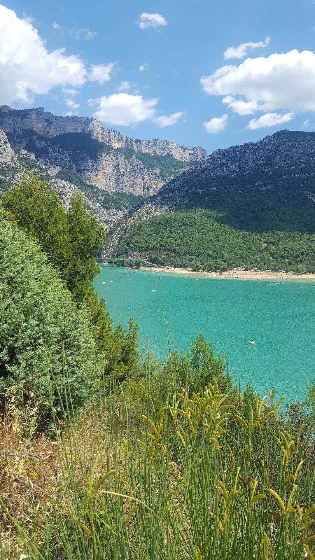 Provence: como visitar os campos de lavanda  com crianças - 47