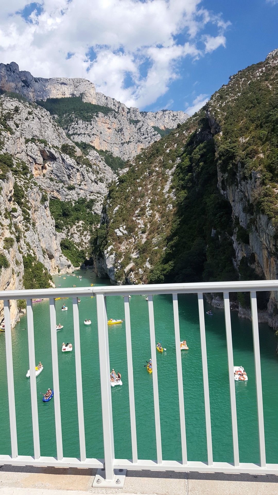 Provence: como visitar os campos de lavanda  com crianças - 49