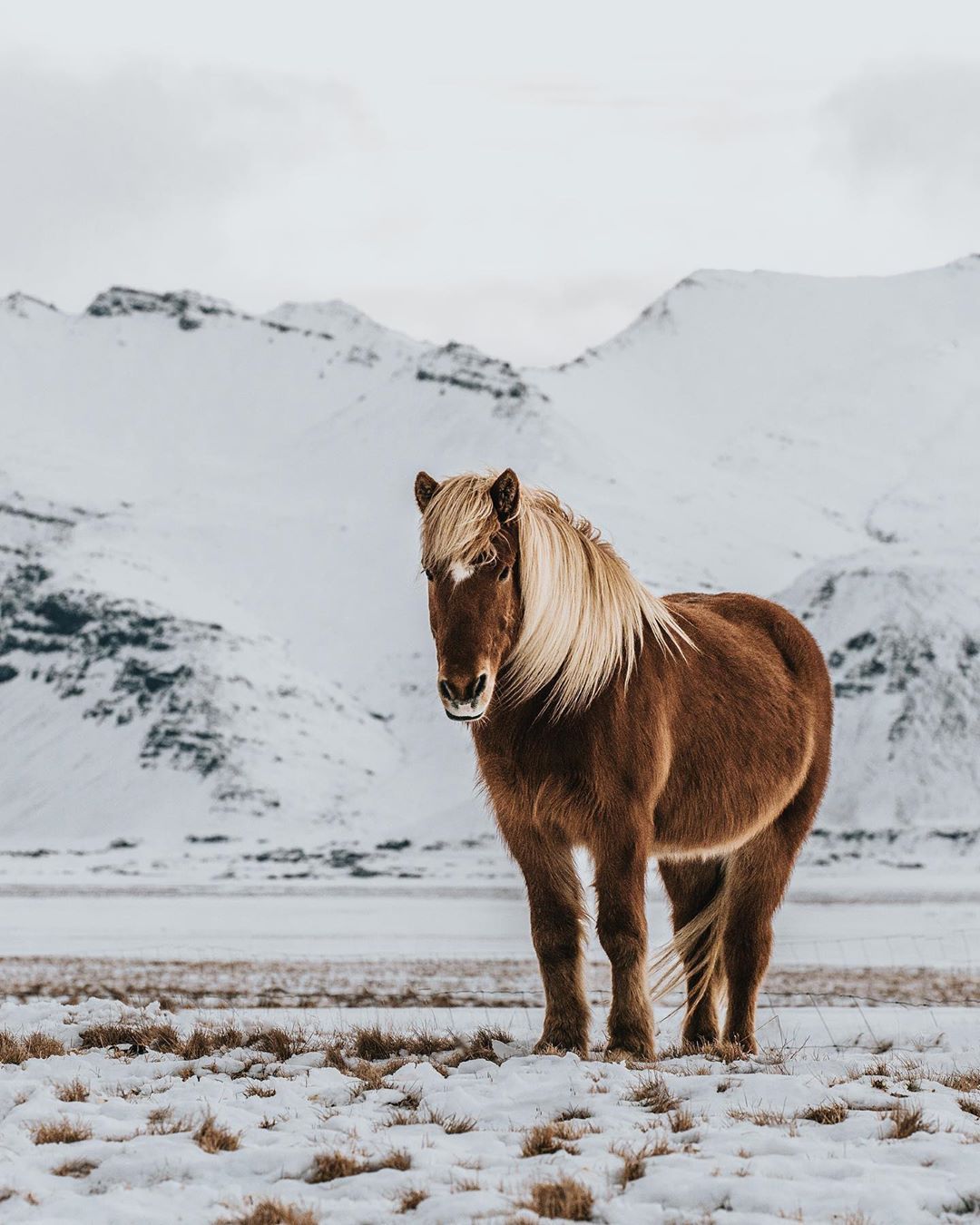  Iceland Reykjavik - 7