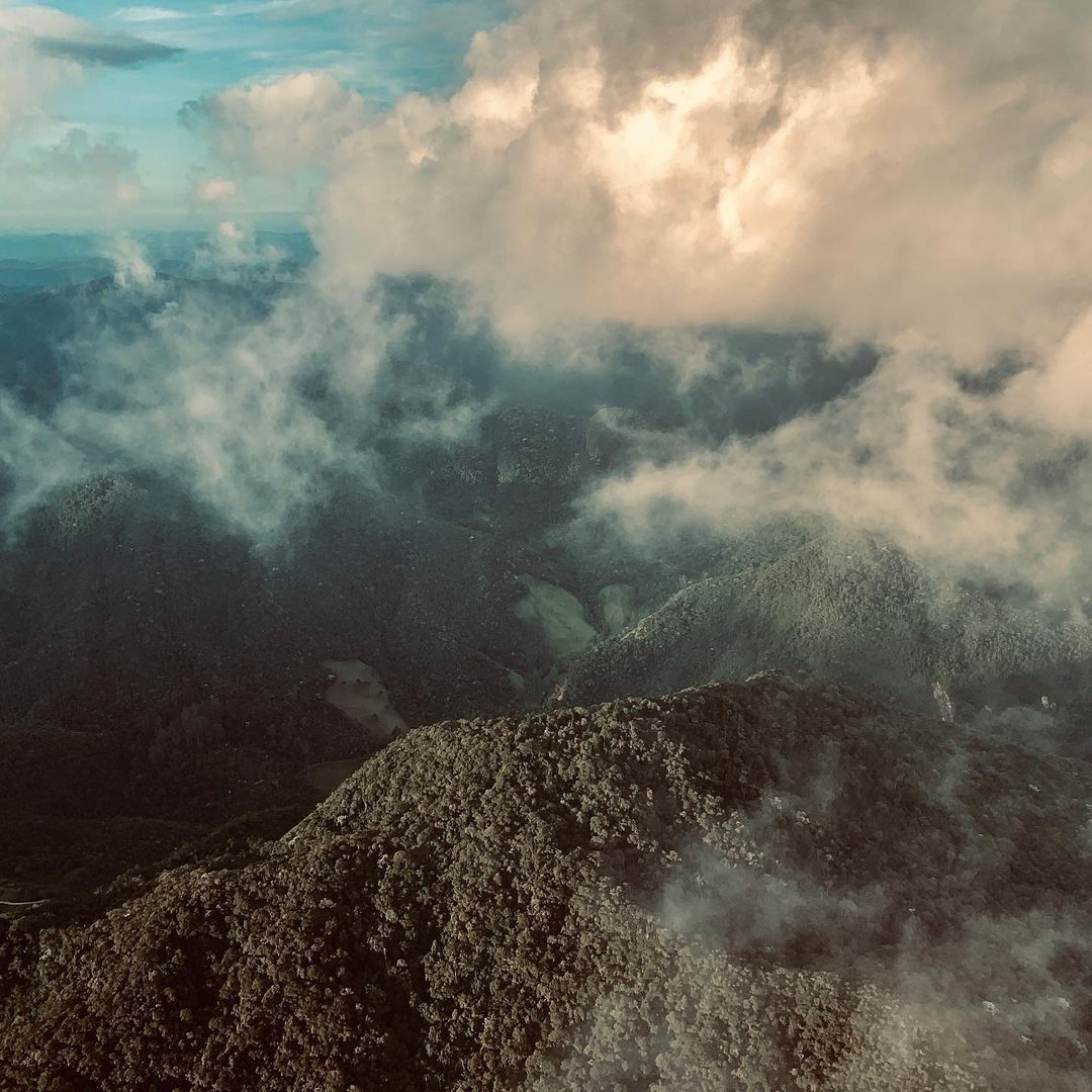 Be happy and fly a paramotor - 5