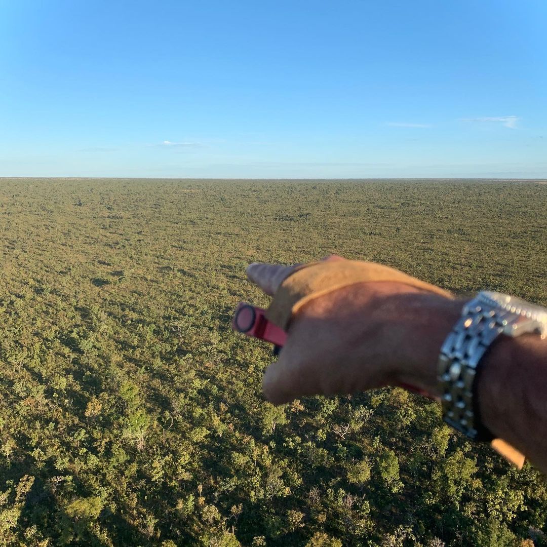 Magnifico Parque da Emas - 2