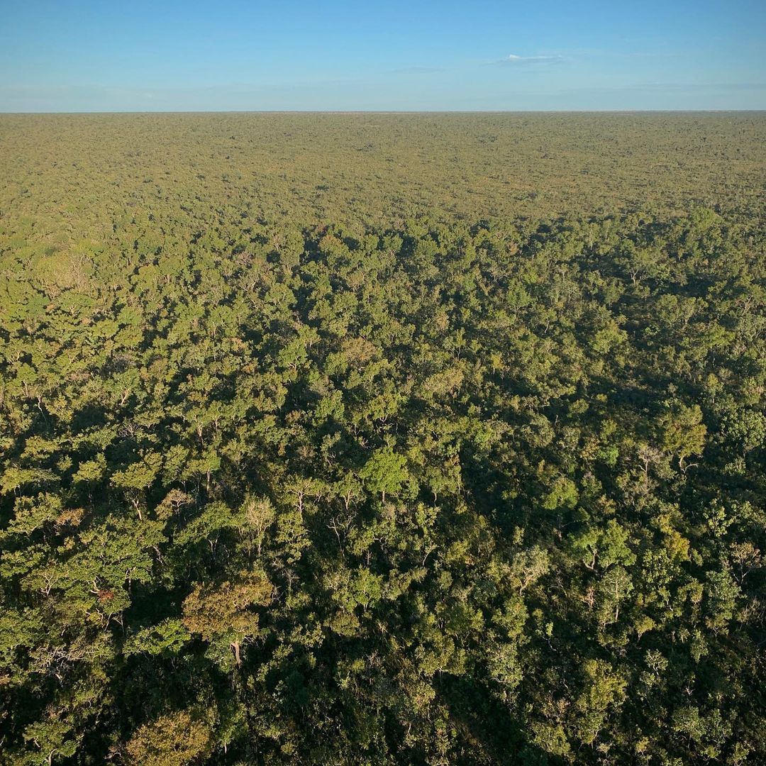 Magnifico Parque da Emas - 4