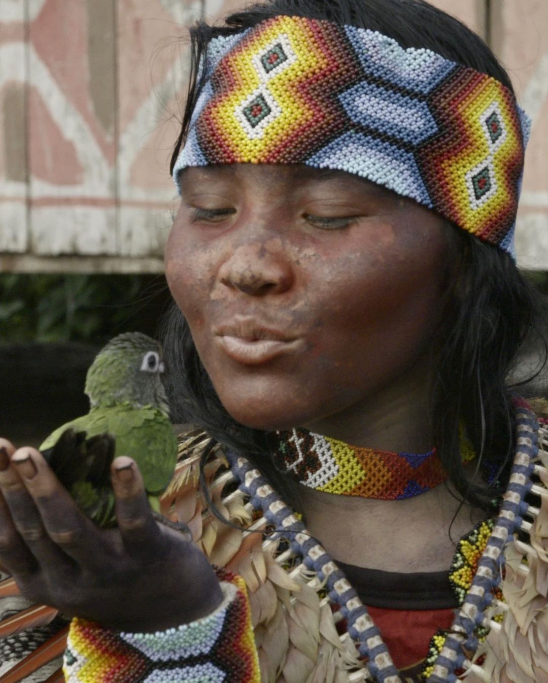 Uma vivencia inesquecível com os HuniKuin. An incredible experience with the HuniKuin on the Brazil-Peru bourder. @theboafoundation - 3