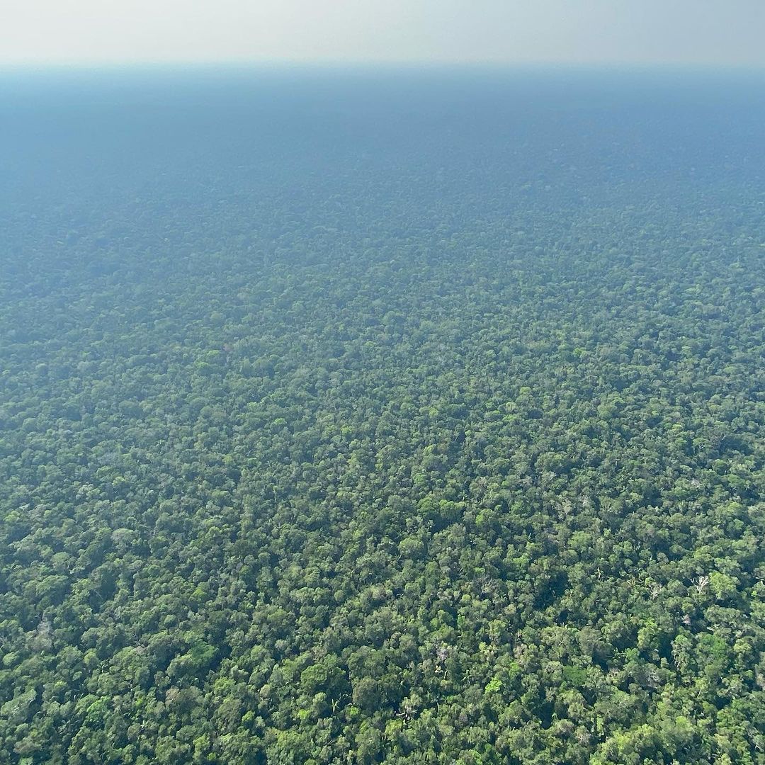 What an effort in order to experience a bit of Amazonian Parsdise - 6