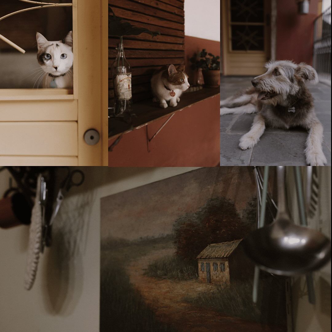 Malu Saga Fotografia - 8