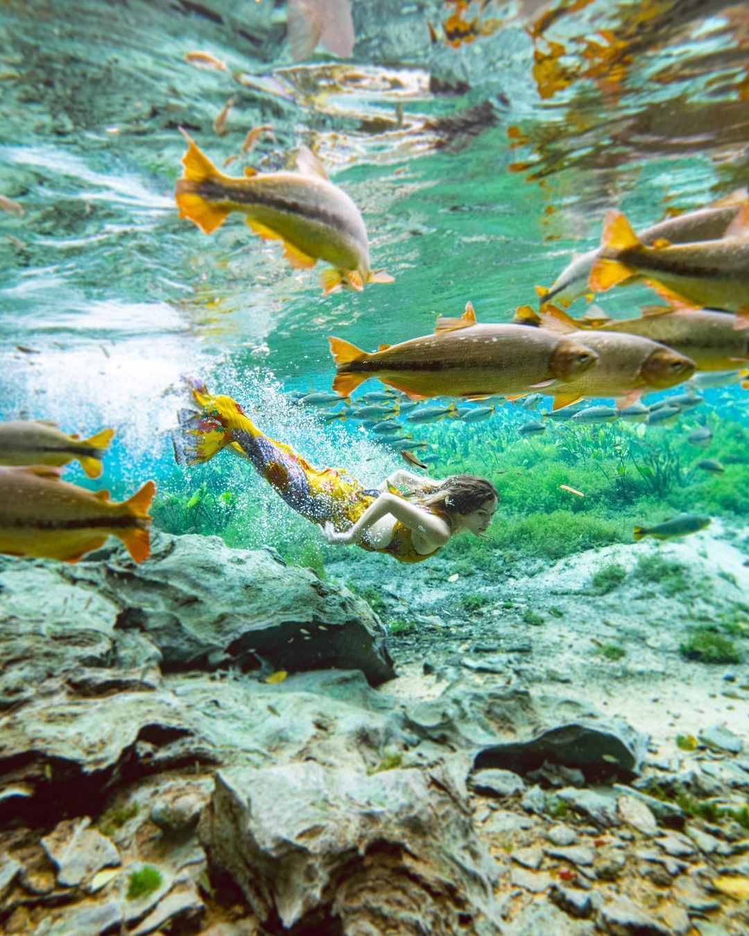 Mergulhando em Bonito - MS - 9