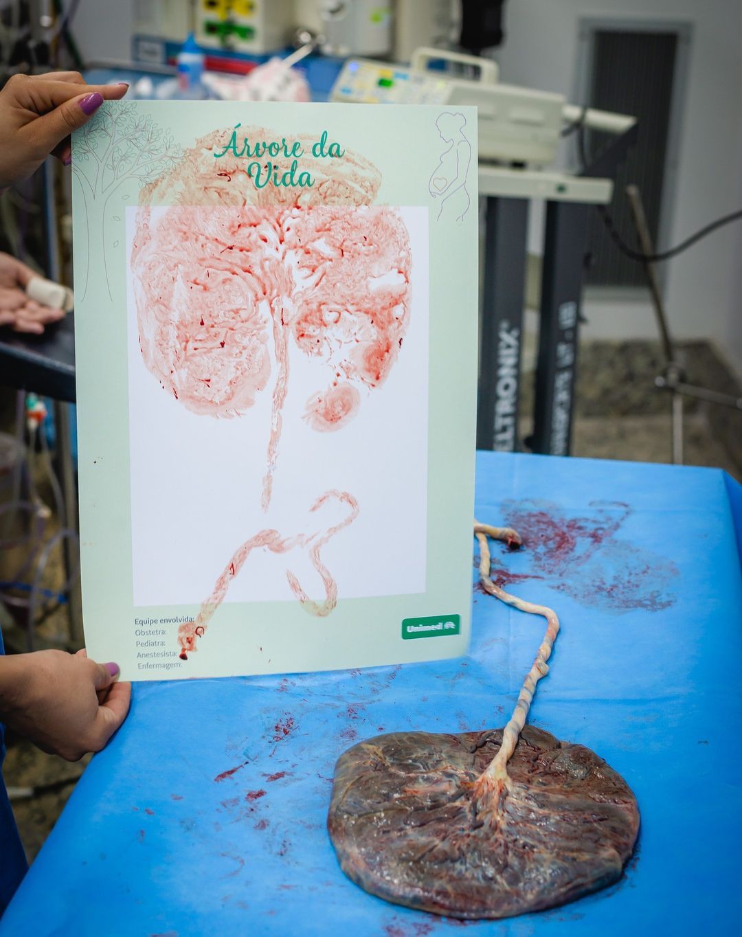 Fotógrafa, Belo Horizonte - MG, Hiany Salgado Fotografias - 7