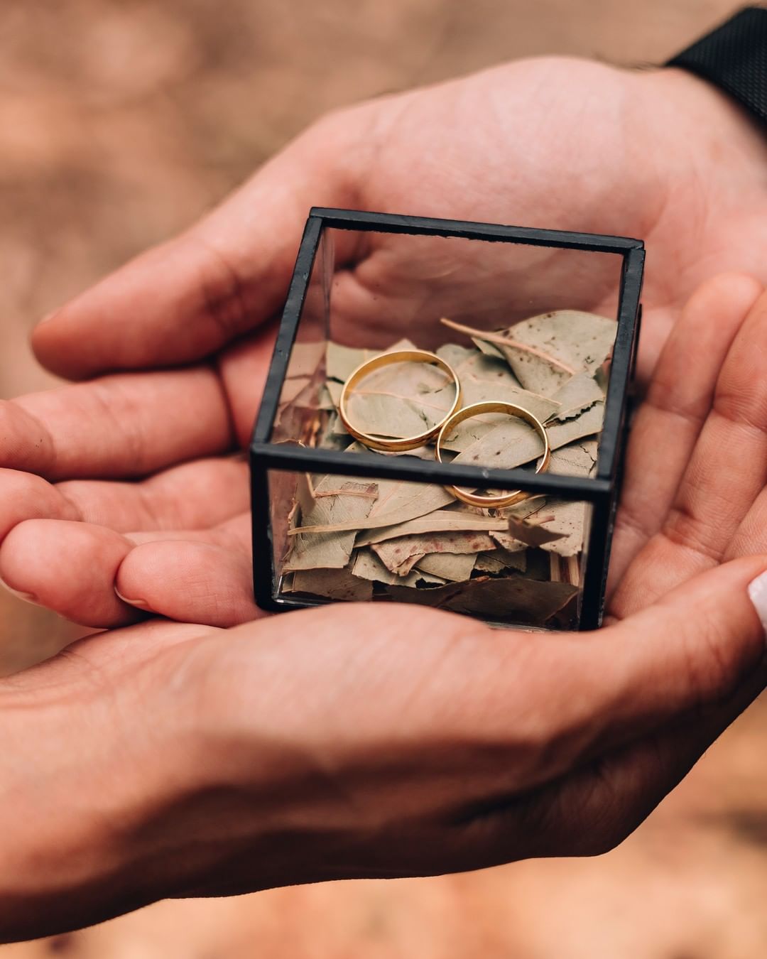 Elopement Wedding no Bosque dos Eucaliptos- Niterói - 4