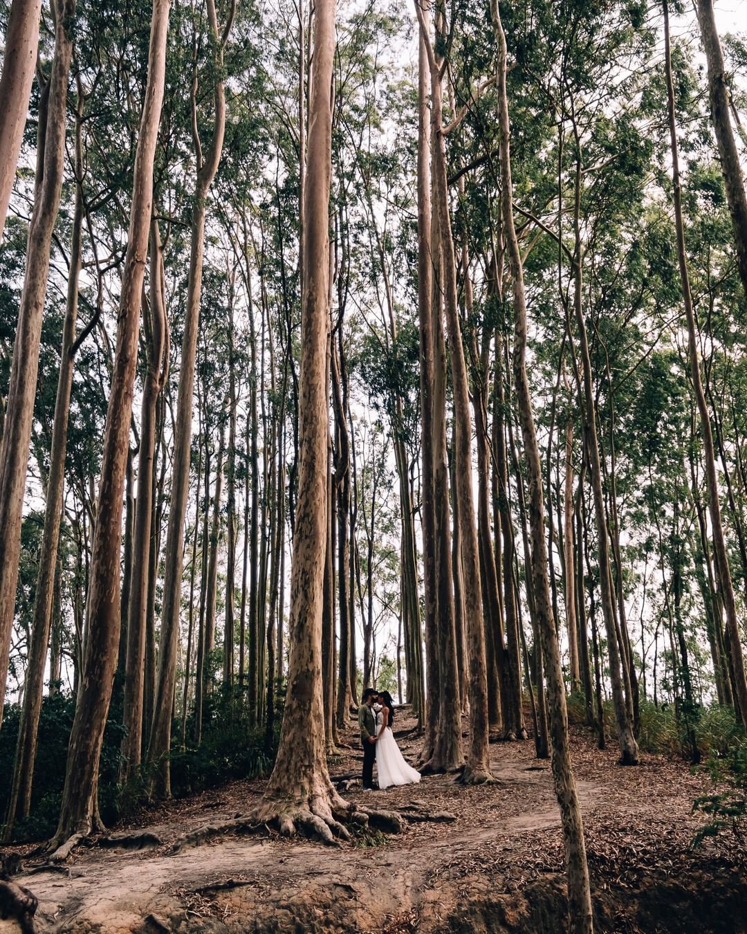 Elopement Wedding no Bosque dos Eucaliptos- Niterói - 5