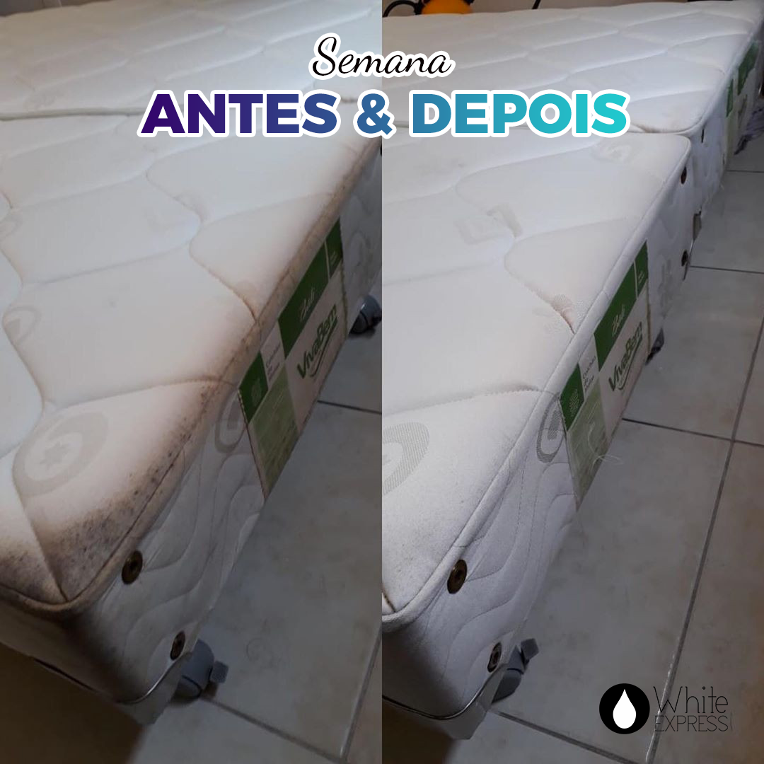 White Express Floripa - 1