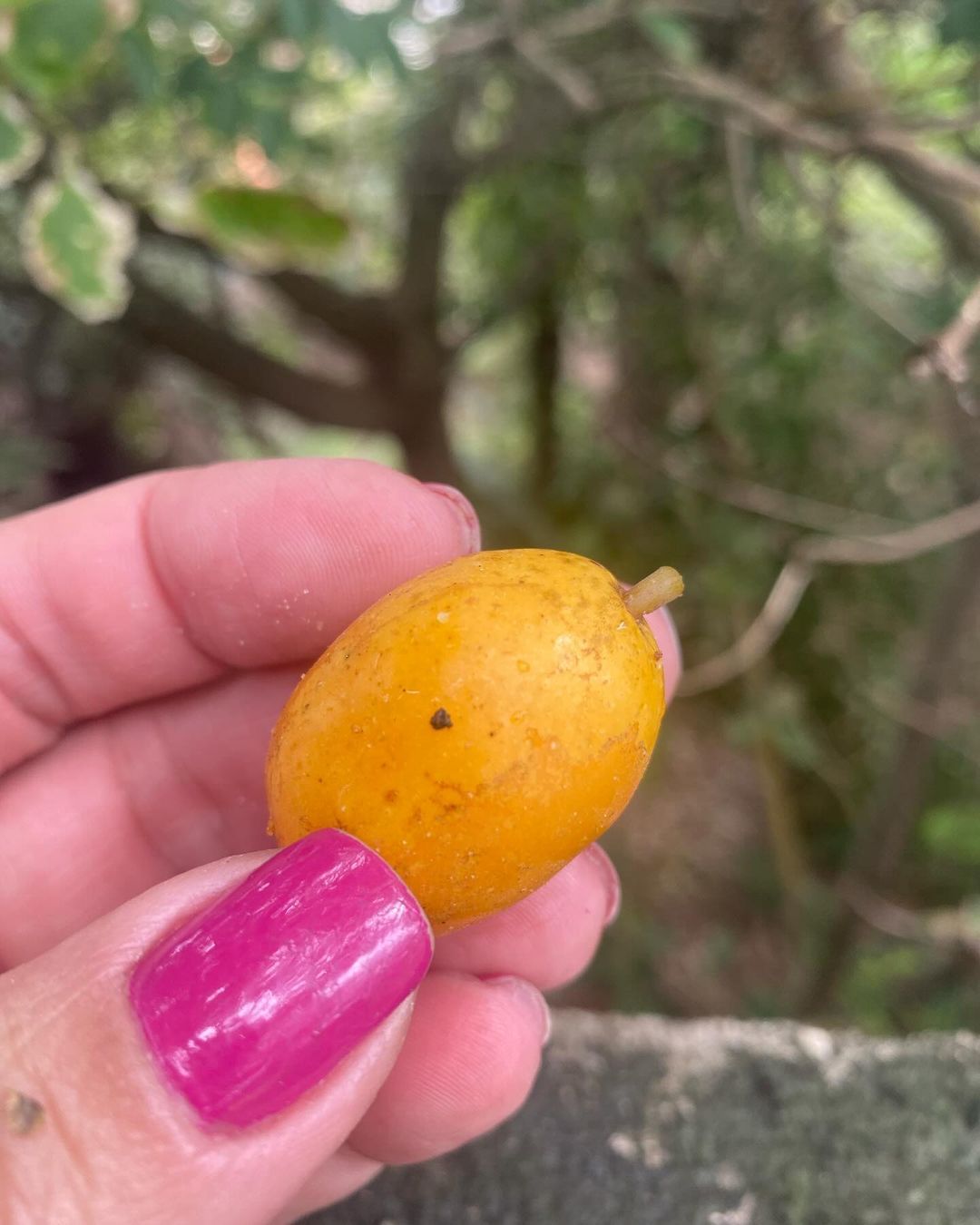 Trechos de uma viagem - 6