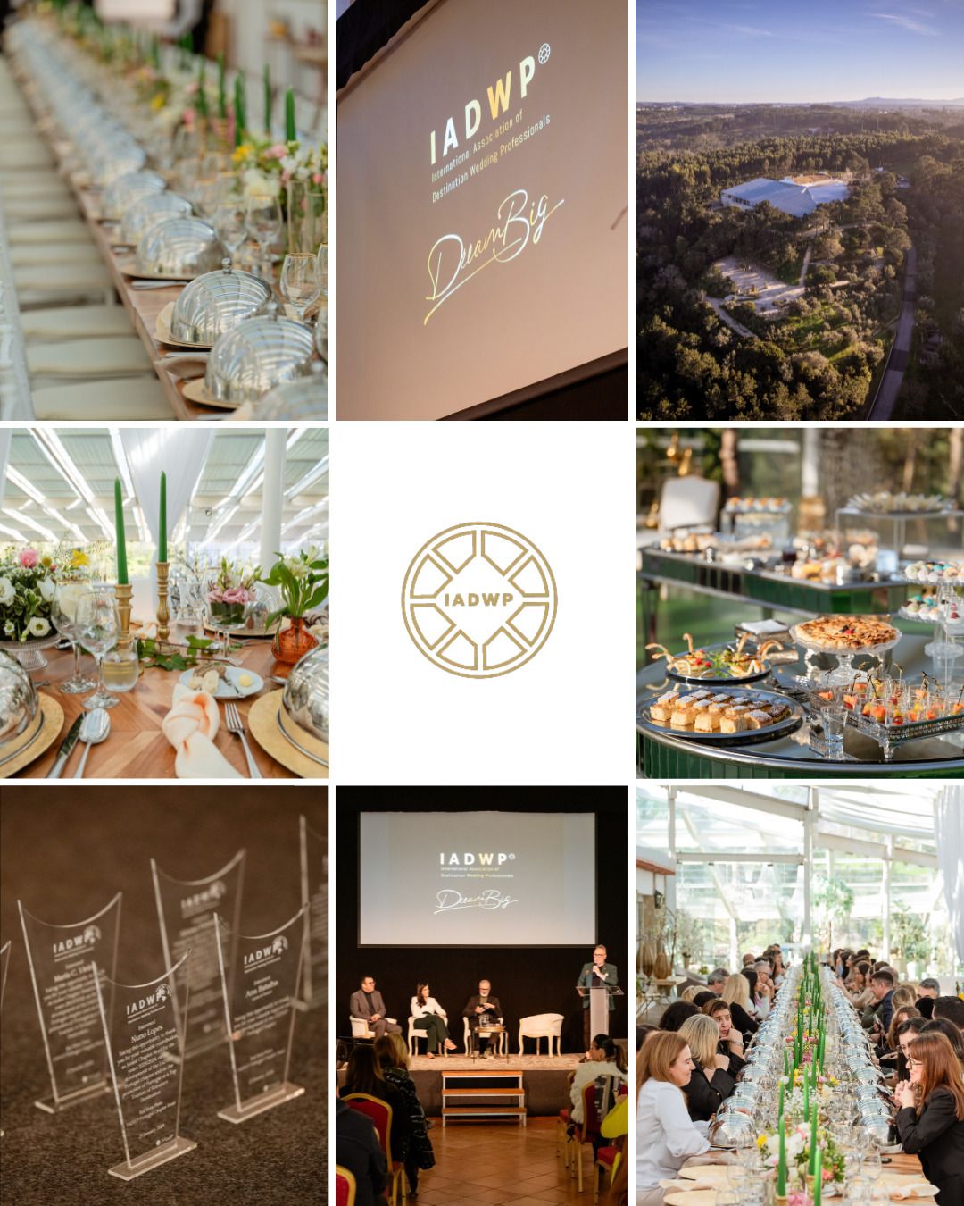 Apresentação IADWP Capitulo Portugal - 3