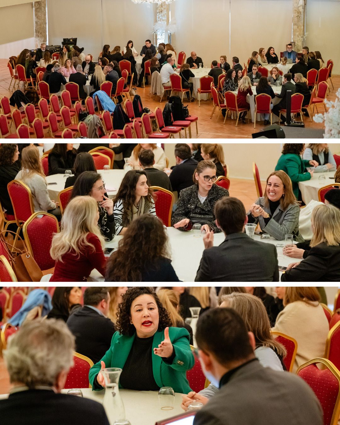 Apresentação IADWP Capitulo Portugal - 6