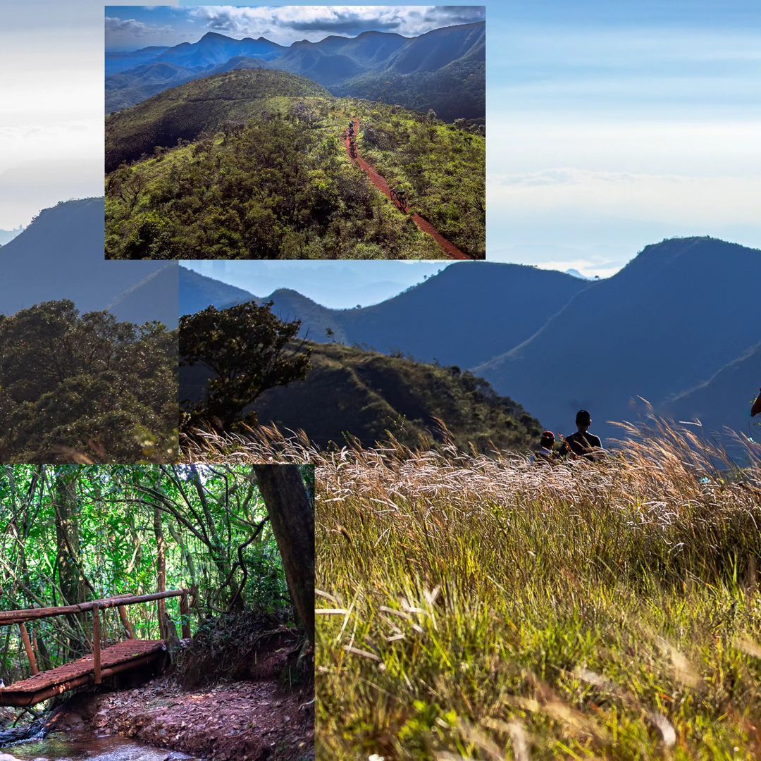 Foto e vídeo de ensaios, cobertura, documentários e muito mais... - 5