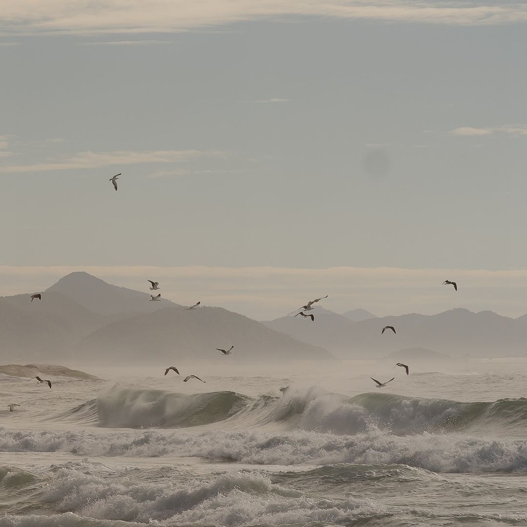 Pre Wedding - Arpoador - RJ - Abraão e Sabrina - - 2 - 4