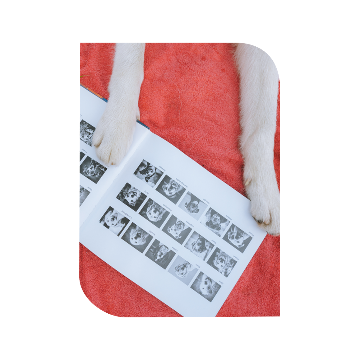 Lifestyle e Soluções - 0