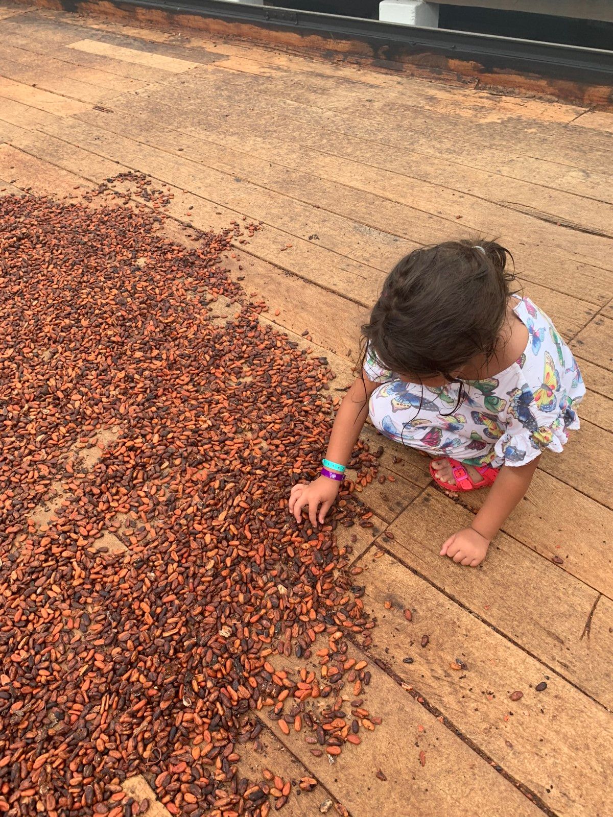 O que fazer em Ilhéus!  - 23