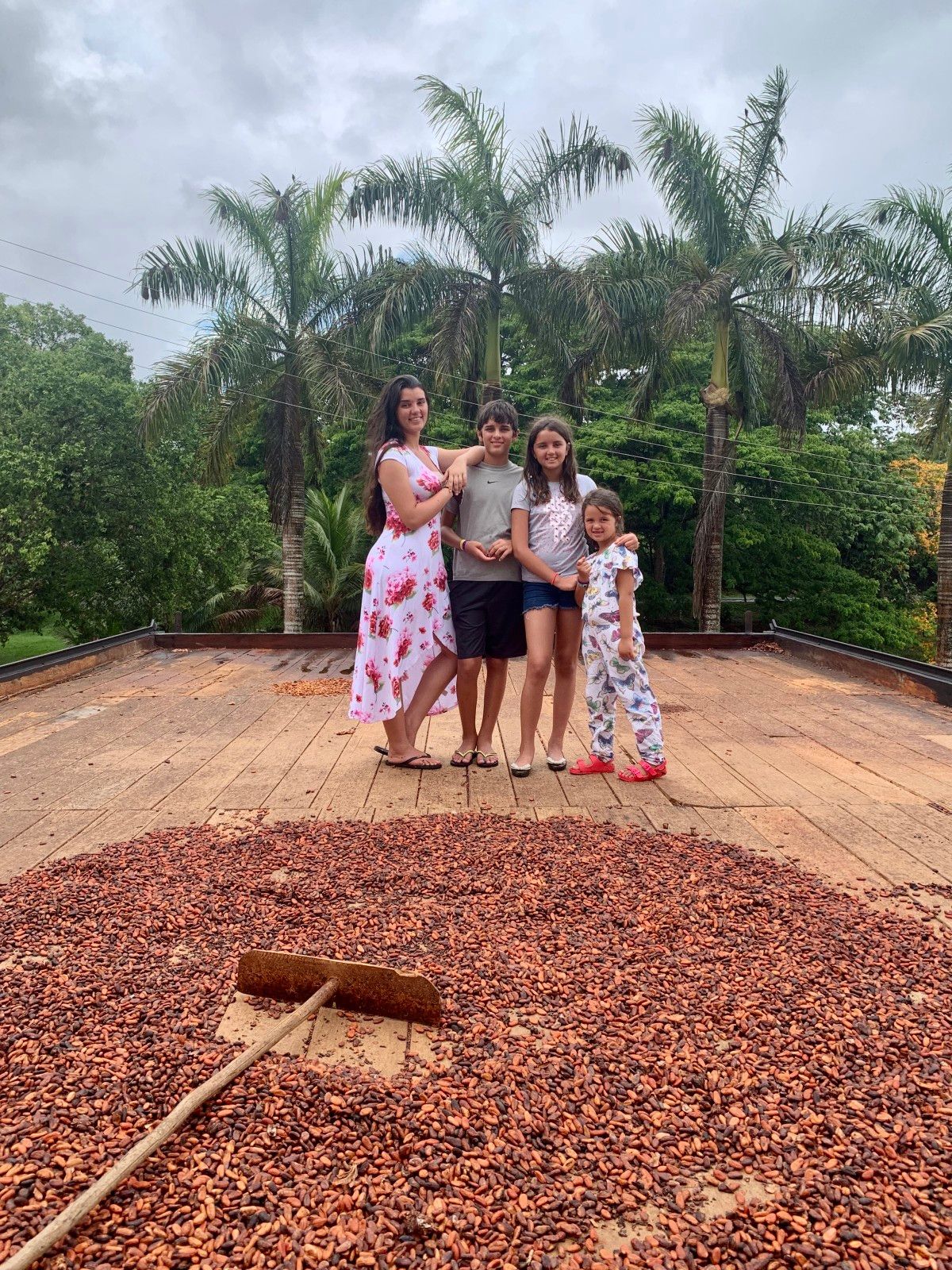 Como é visitar uma fazenda de cacau em Ilhéus: Fazenda Yrerê. - 3