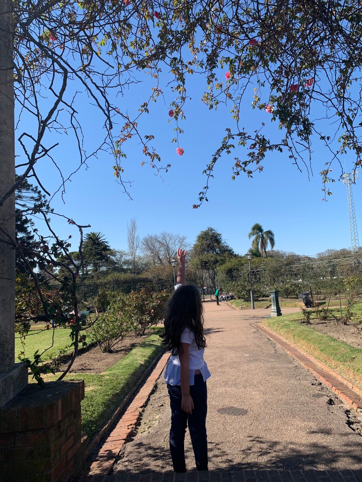 Jardins em Montevidéu. Conhecendo o Uruguai com crianças - 24