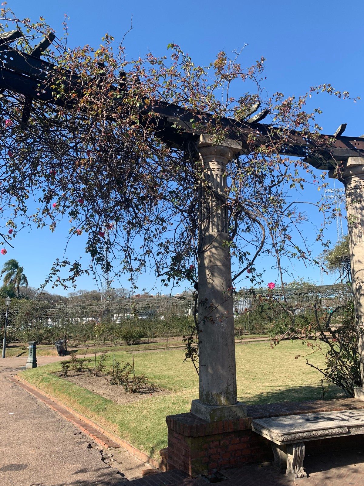 Jardins em Montevidéu. Conhecendo o Uruguai com crianças - 30