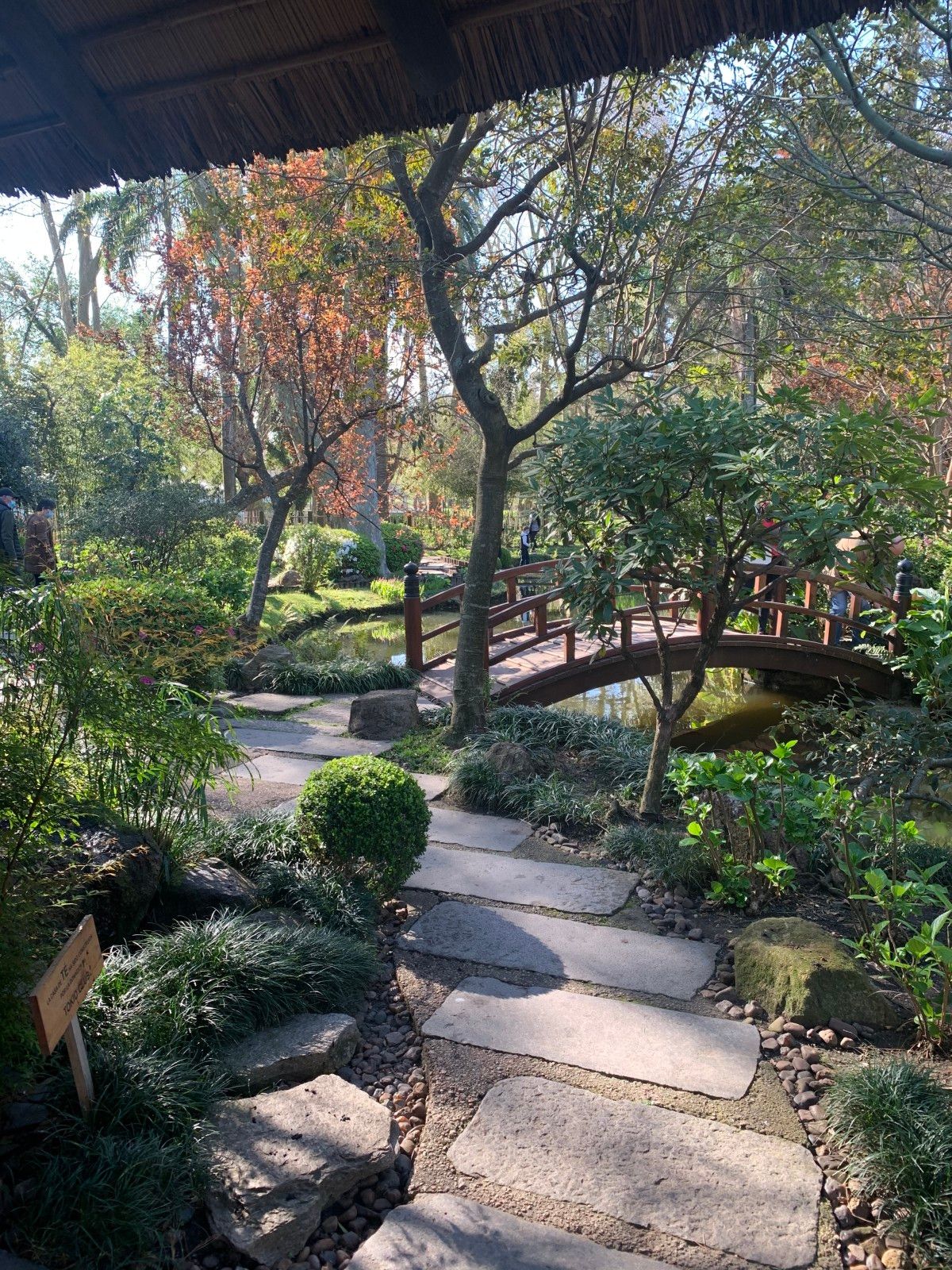 Jardins em Montevidéu. Conhecendo o Uruguai com crianças - 46